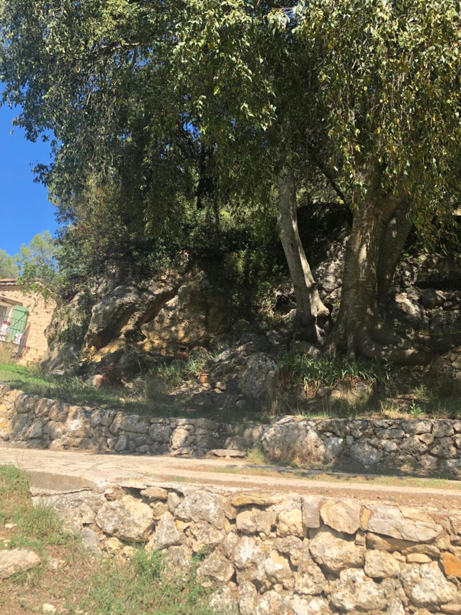 Villa L'Olivier Fleurie Barjols Exterior foto